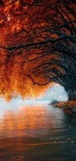 Autumn trees reflecting on a calm river, creating a peaceful nature scene.