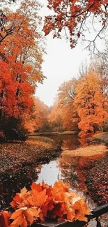 Vibrant autumn leaves by a serene river with orange and red foliage.