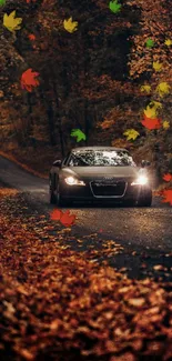 Car on a forest road surrounded by autumn leaves.