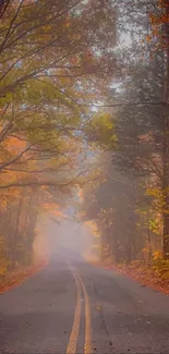 Misty autumn road through a vibrant forest.