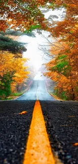 Autumn road surrounded by vibrant orange foliage.