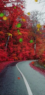 Winding road through vibrant red autumn forest scene.