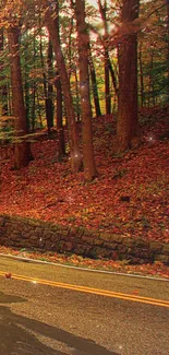 Autumn road surrounded by vibrant forest colors.