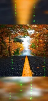 Autumn road with matrix code effect in vibrant orange forest.