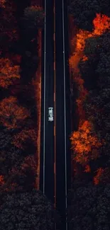 Aerial view of a road surrounded by vibrant autumn foliage.