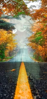 A long road stretches through vibrant autumn trees, creating a serene, colorful scene.