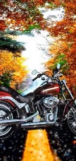 Motorcycle on a road lined with vibrant orange autumn trees.