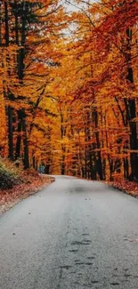 Scenic road through vibrant autumn forest with vivid orange foliage.