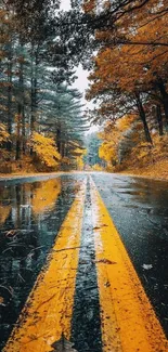 Autumn road with golden leaves and reflections along wet pavement.