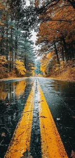 Reflective autumn road lined with vibrant orange trees.