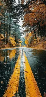 Vibrant autumn forest reflecting on wet road.