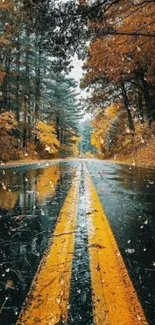 Road with autumn leaves and reflections, under raindrops.