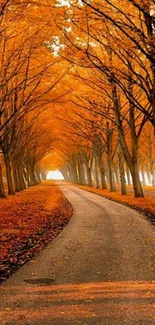 A scenic road with vibrant orange autumn trees.