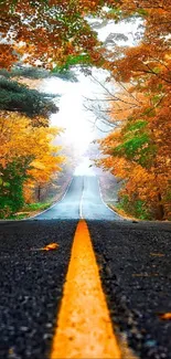 Scenic autumn road with vibrant fall foliage and a serene horizon.