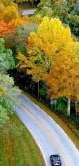 A scenic autumn road with vibrant trees and a car driving through.