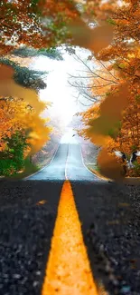 Autumn road with colorful trees and vibrant foliage.