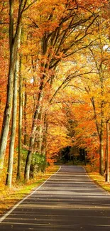 Scenic autumn road with vibrant foliage