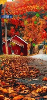 Scenic autumn road with vibrant foliage.