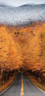 Autumn road under orange foliage with misty mountain backdrop.