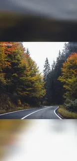 Scenic autumn road with vibrant trees and winding path.