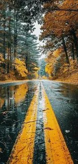 Autumn road with golden leaves and trees for mobile wallpaper.