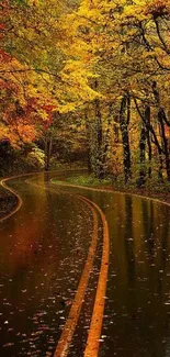 Winding autumn road with vibrant orange foliage.