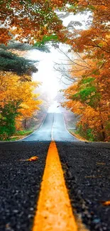 Vibrant autumn road through a forest with colorful foliage and a long perspective view.