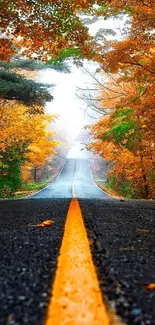 A scenic autumn road with vibrant orange foliage, perfect as a mobile wallpaper.