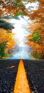 Scenic autumn road wallpaper with vibrant foliage.