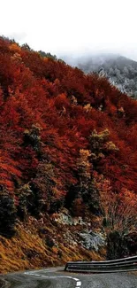 Autumn road with vibrant red foliage and winding path.