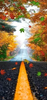 Serene autumn road with orange foliage and misty horizon.