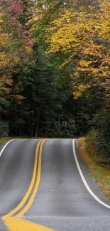 Scenic autumn road through a vibrant forest lined with colorful fall leaves.