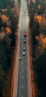 Aerial view of road through autumn forest with colorful trees.