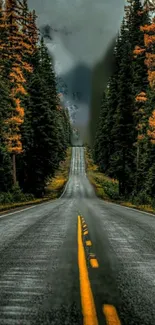 Autumn road with pine trees and orange leaves in a tranquil setting.