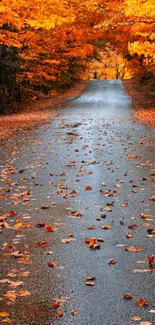 Orange autumn leaves along a quiet road.