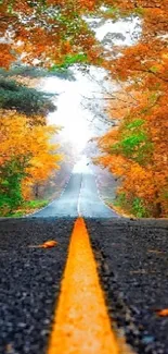 Autumn road with vibrant orange leaves in a scenic fall setting.