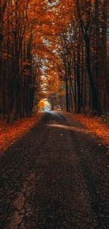 Autumn road surrounded by golden leaves.