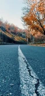 Scenic autumn road with trees and blue sky in a mobile wallpaper.