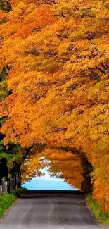 Scenic autumn road with orange foliage and clear sky.