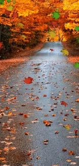 Road covered in orange autumn leaves under vibrant trees.