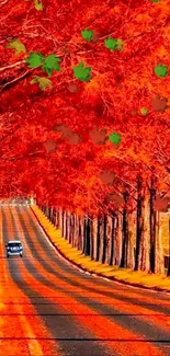 Autumn road with vibrant red trees lining the path.