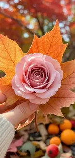 A hand holding a pink rose with autumn leaves in a serene nature setting.