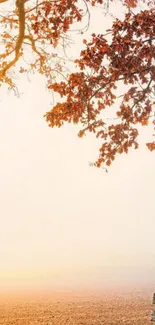 Autumn leaves, bench, and morning fog in a serene wallpaper scene.