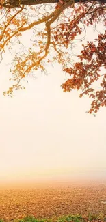 Serene autumn landscape with a bench and golden leaves on a misty morning.