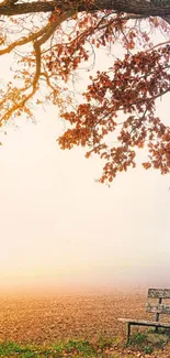 Peaceful autumn park bench with orange leaves and misty background.