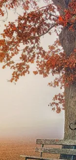 Tranquil autumn scene with tree and bench, featuring red foliage against a misty backdrop.