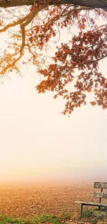 Serene autumn park wallpaper with bench and orange leaves.