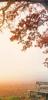 Serene autumn tree and bench in misty landscape.