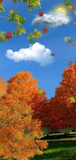 Mobile wallpaper of blue sky with autumn leaves and orange trees.