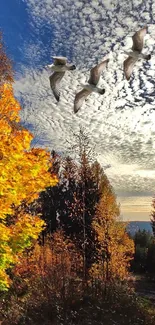 Golden autumn leaves with birds flying in a blue sky